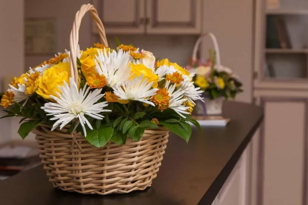 Мини-отель Классики Санкт-Петербург-14